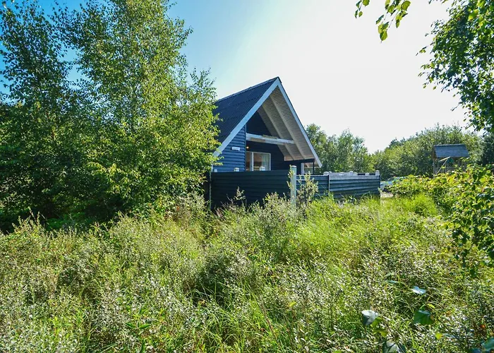 Vestermarksvej Xi Holiday home *